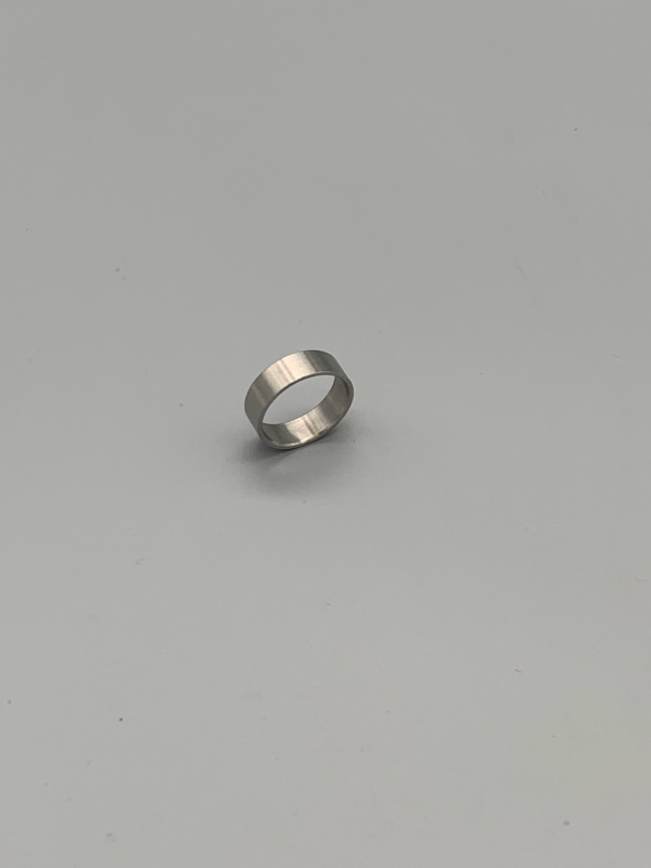 16120-3: Retaining Ring