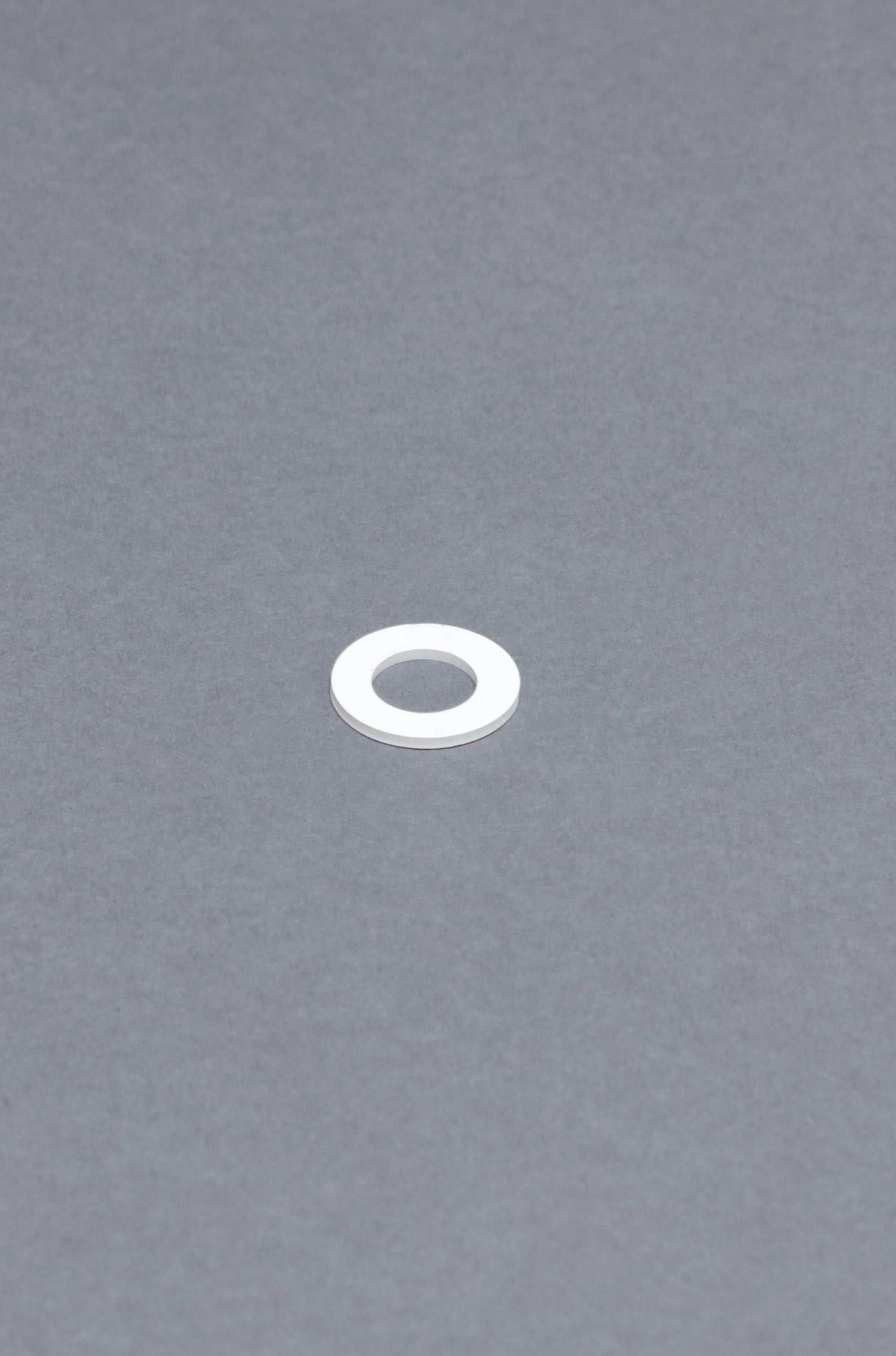 16120-4 - Check Valve Gasket