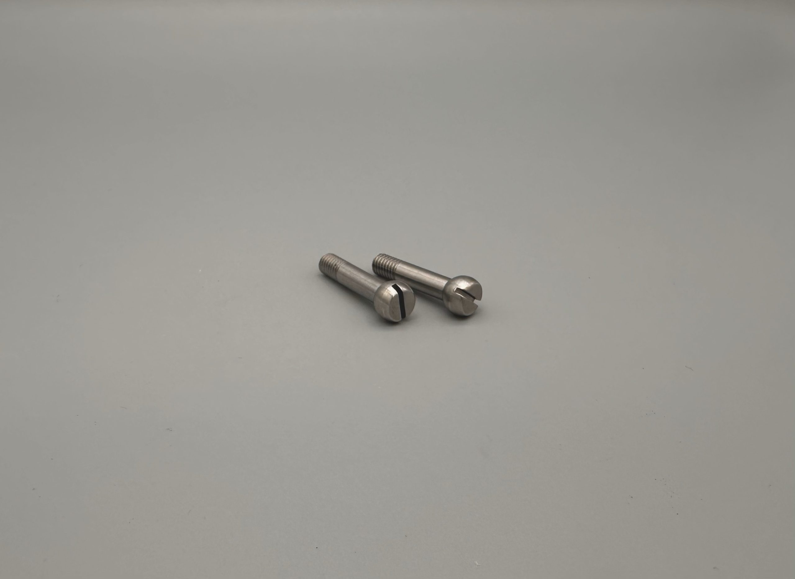 5028 - Lock Plate Screws (set of 2)