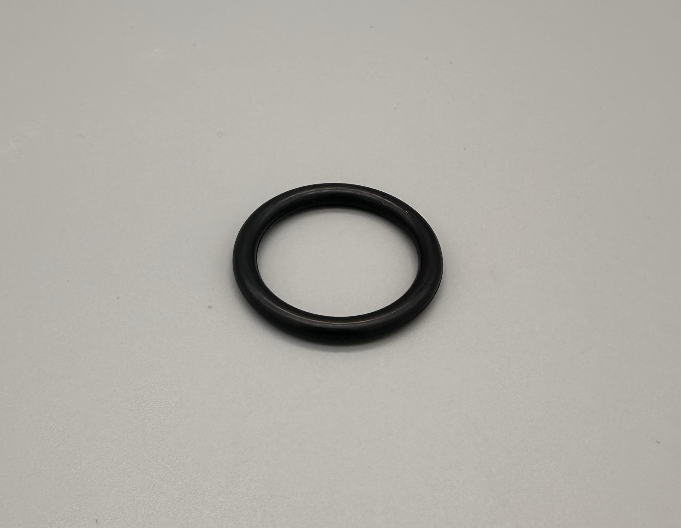 1009 - Piston O-Ring